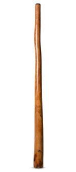 Tristan O'Meara Didgeridoo (TM285) 